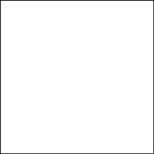 Брюки мужские Dickies DK015, белый, S