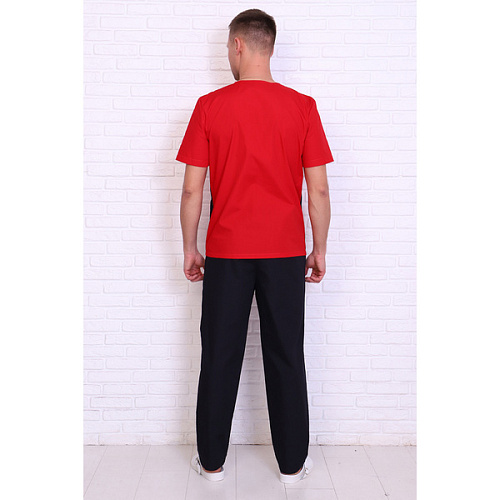 Брюки мужские 239ТСК, черный, 48